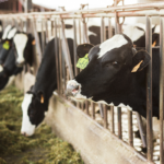 Changing farm practices