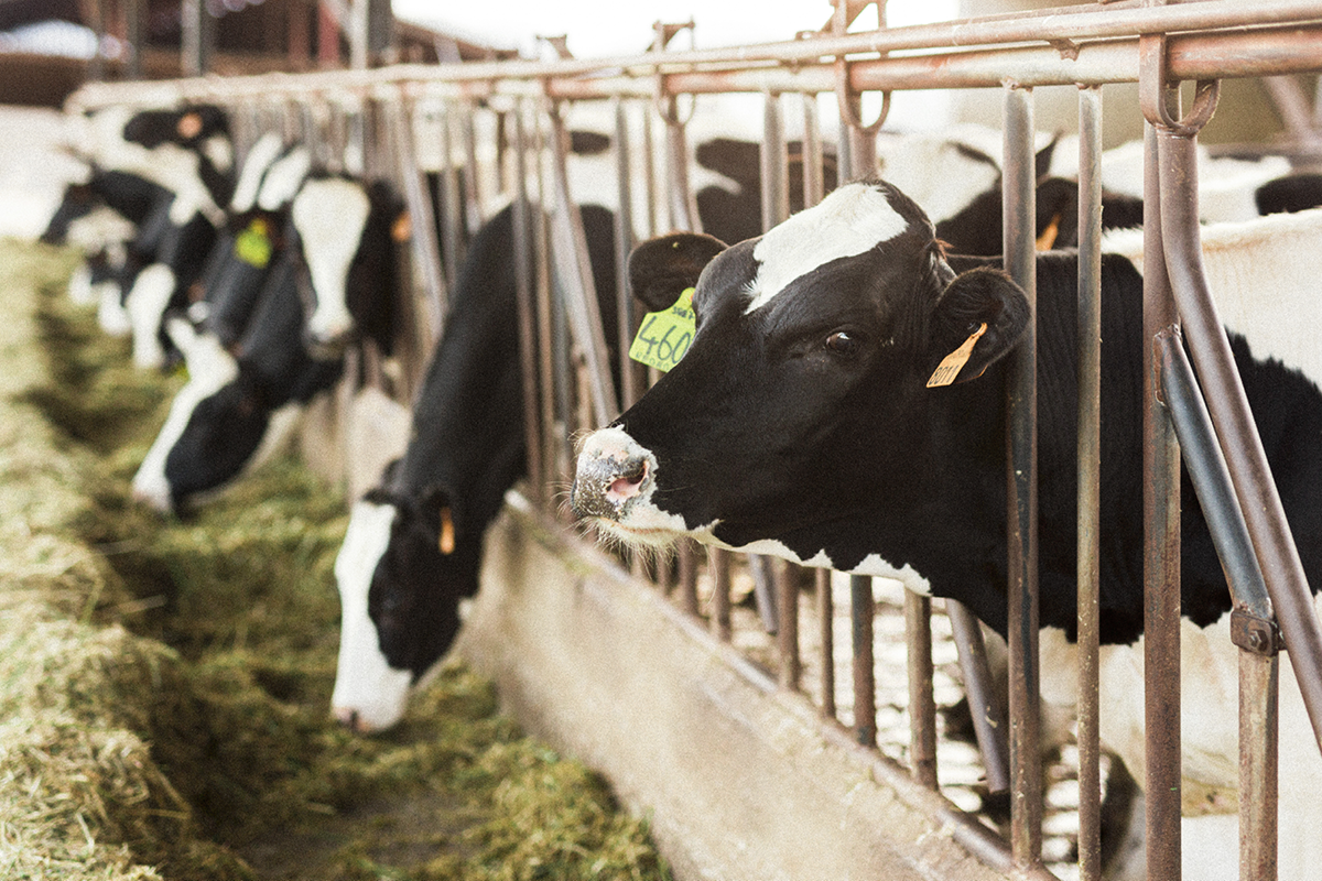 Changing farm practices