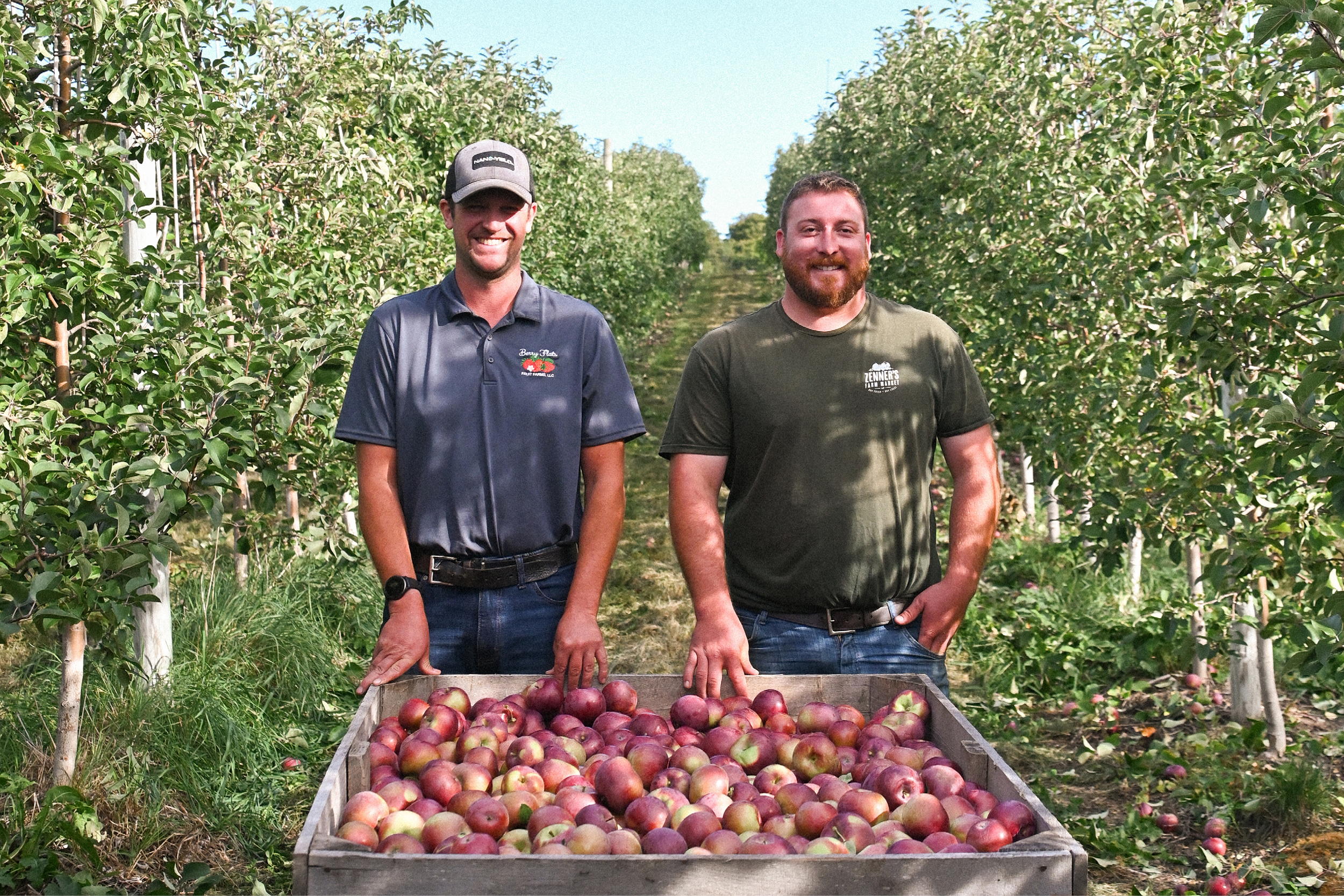 Two men farmers standing apple fields