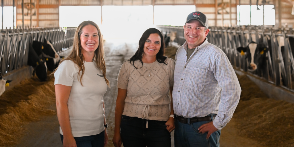 Two women and one man standing in a barn in front of dairy cows